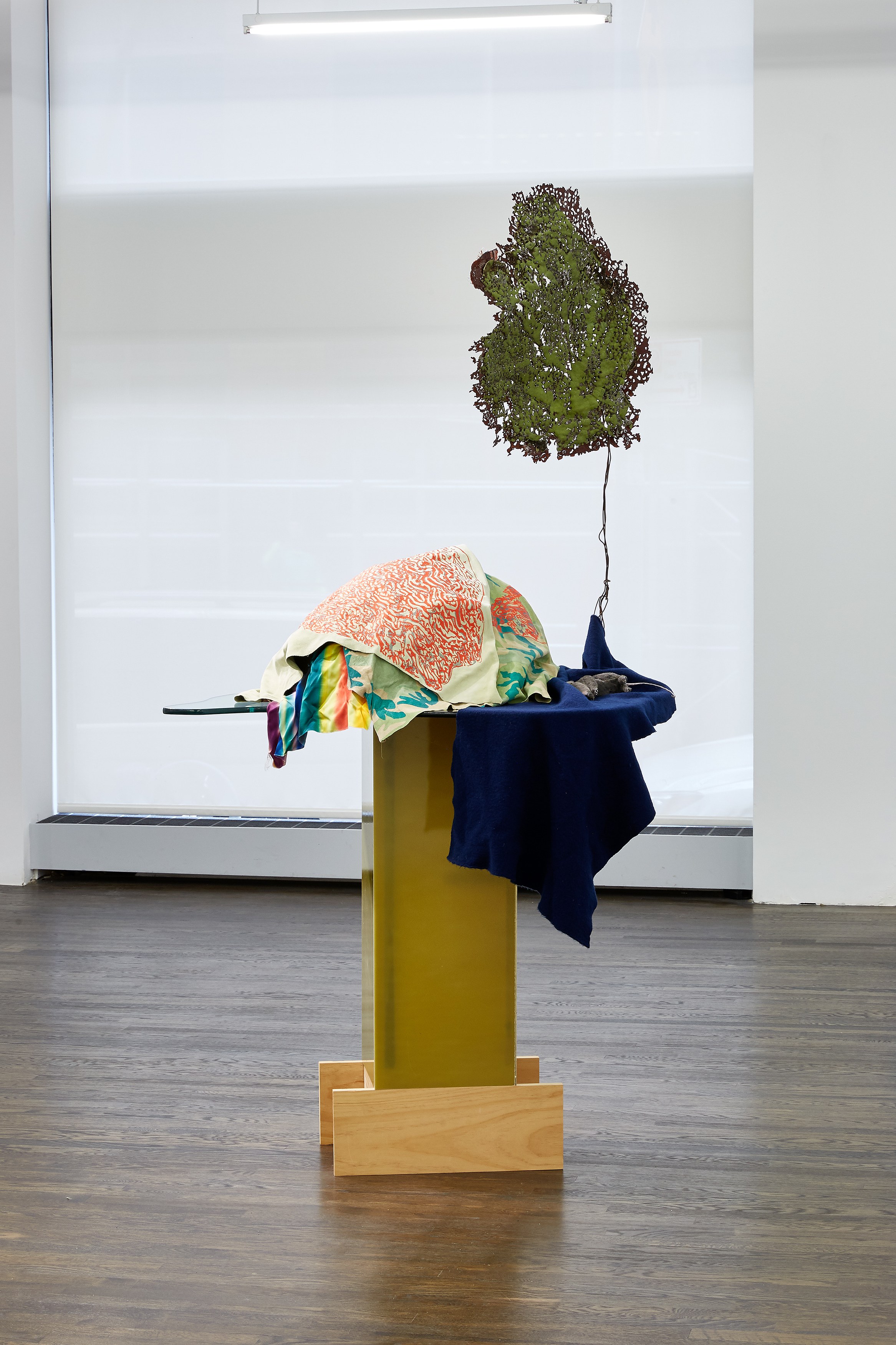 Anne Chu, Anne Chu at White Columns, photo 9