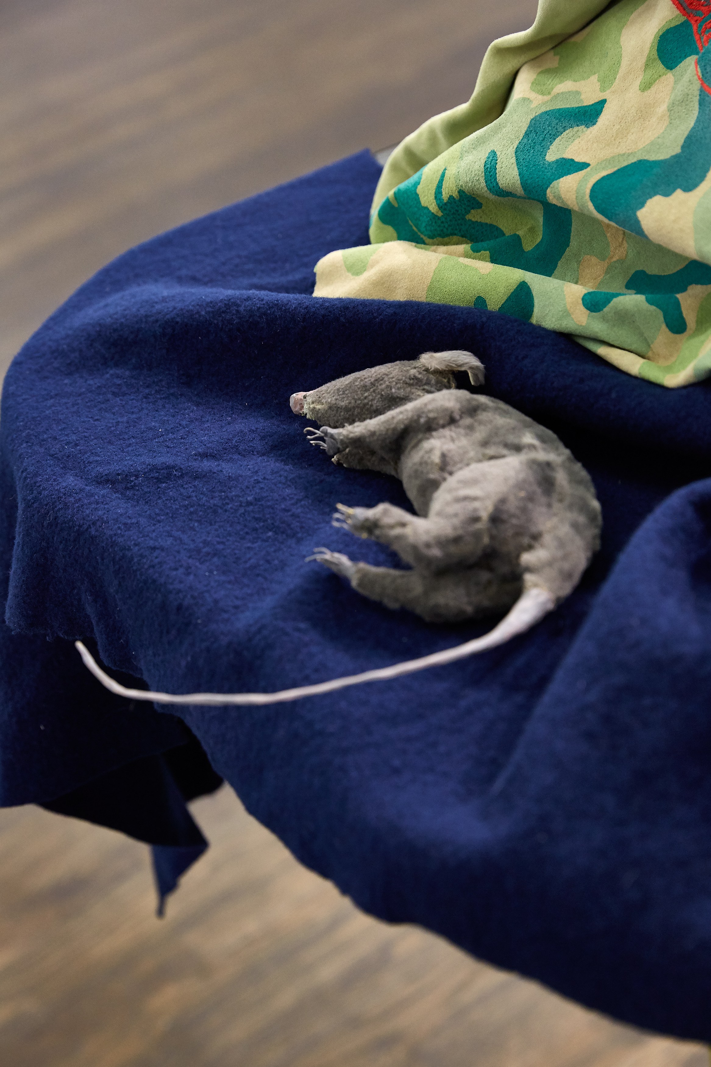 Anne Chu, Anne Chu at White Columns, photo 11