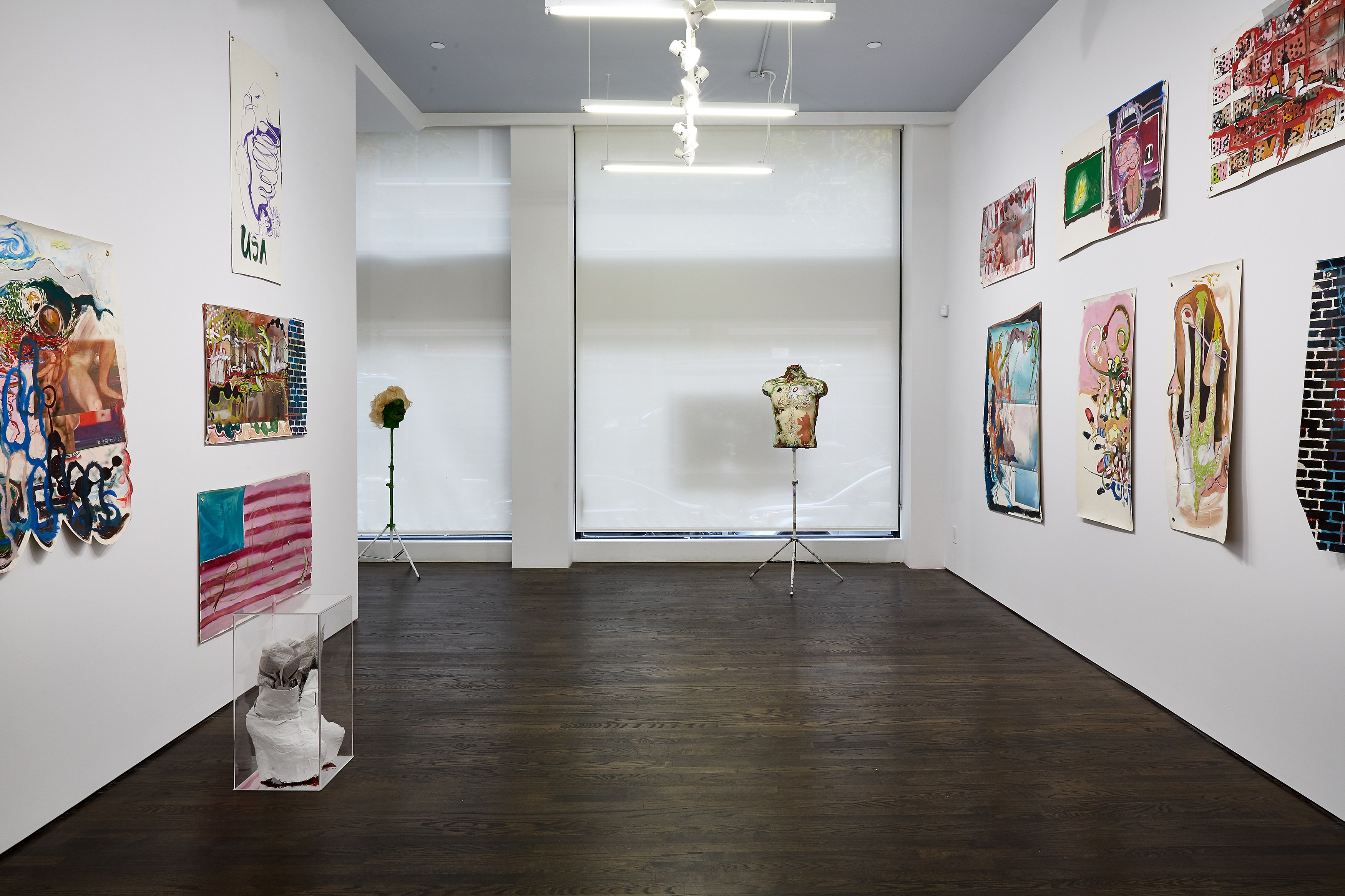 David Mramor, Rainbow Lilies Gangrene Blues at White Columns, photo 5