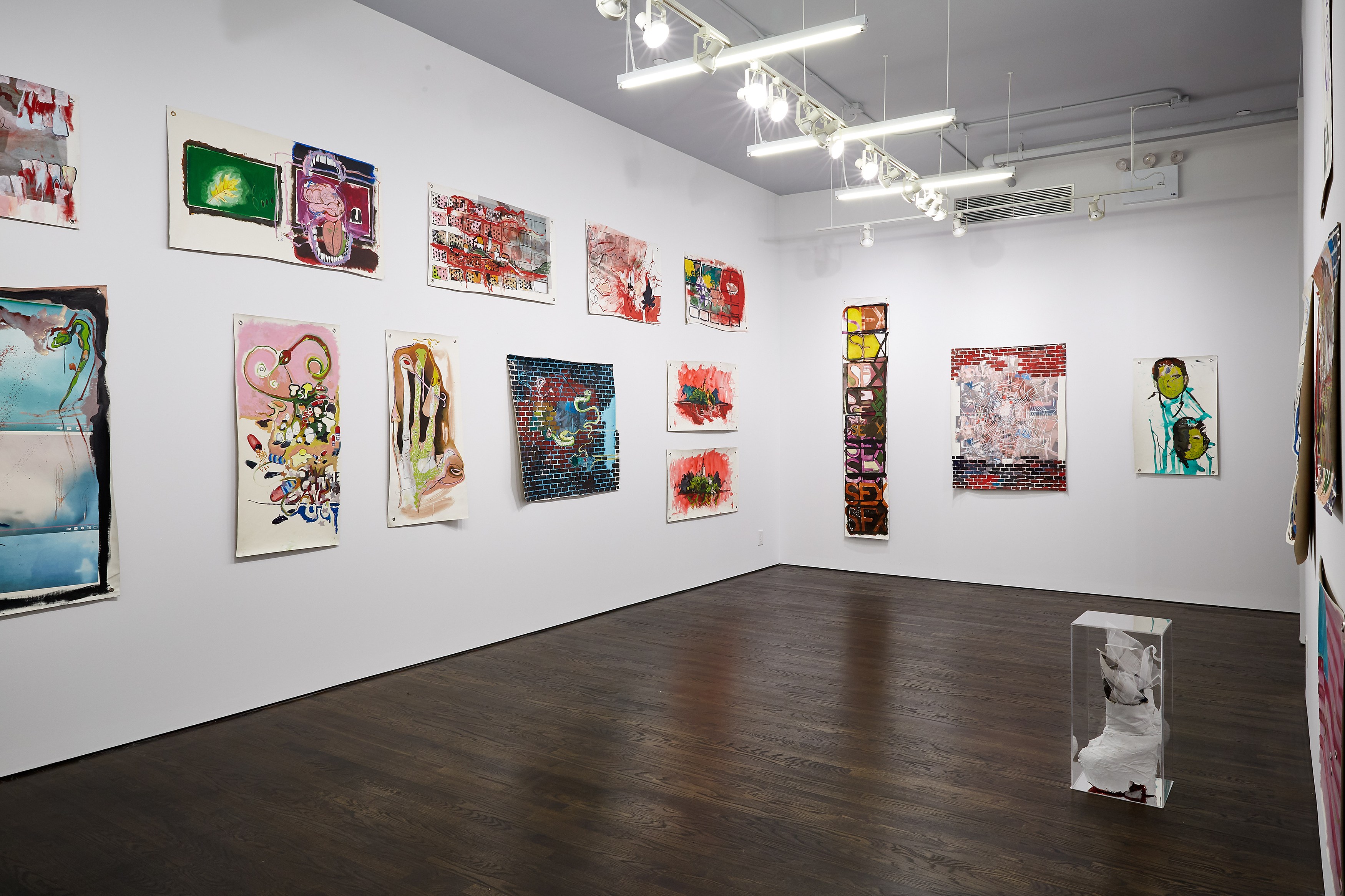 David Mramor, Rainbow Lilies Gangrene Blues at White Columns, photo 2
