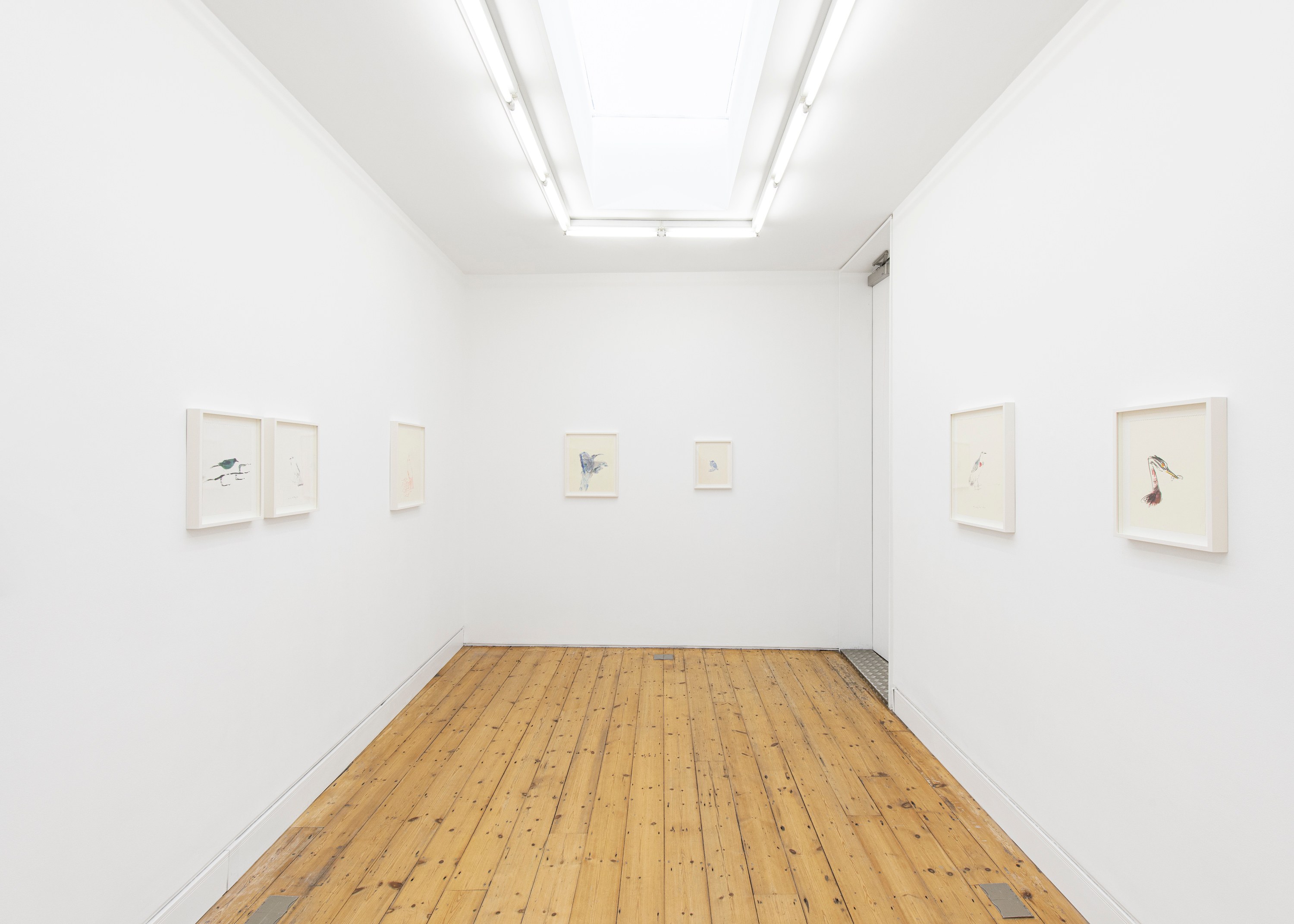 Bill Lynch, I am a Bird from Heaven's Garden at The Approach, photo 15