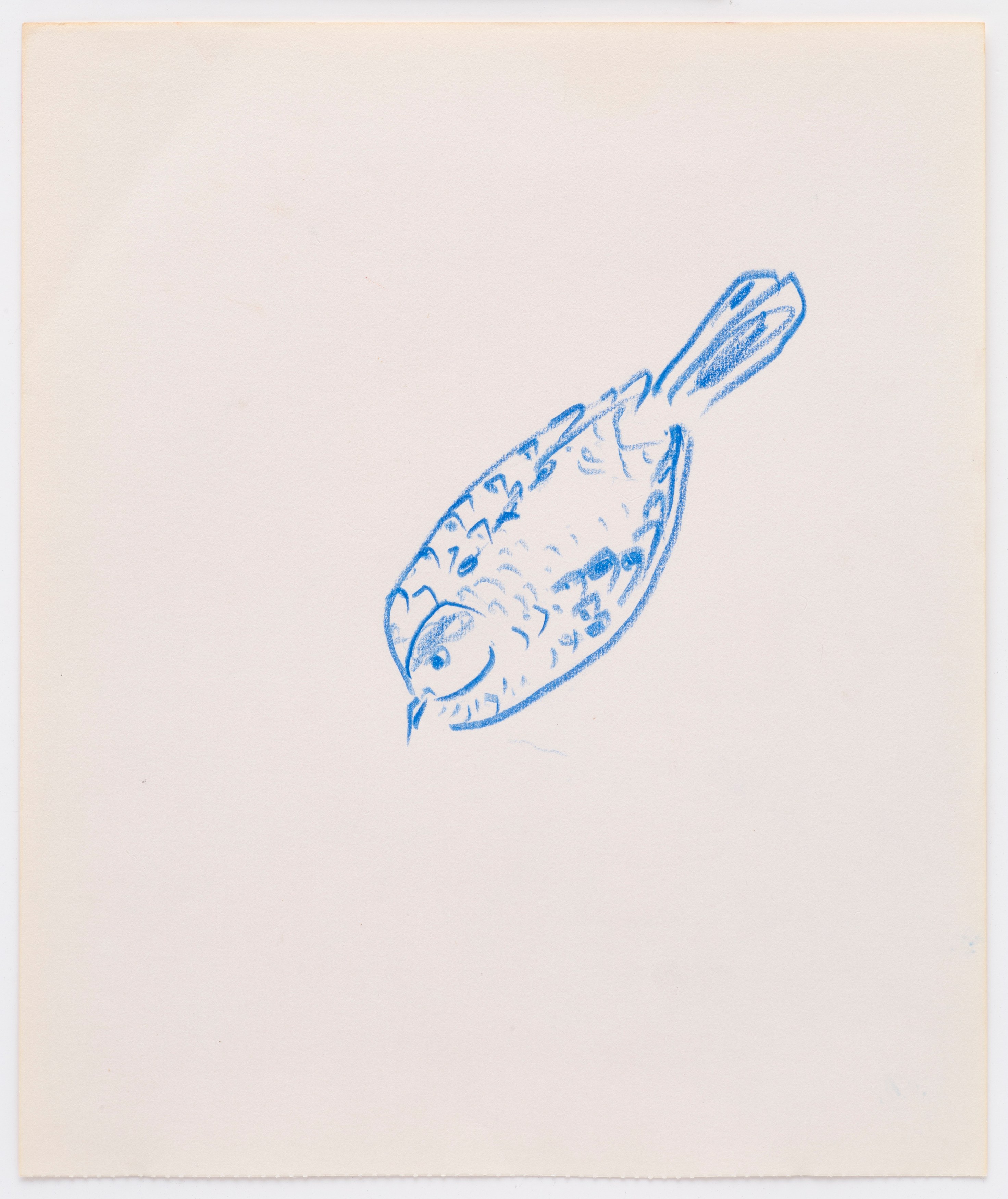 Bill Lynch, I am a Bird from Heaven's Garden at The Approach, photo 32