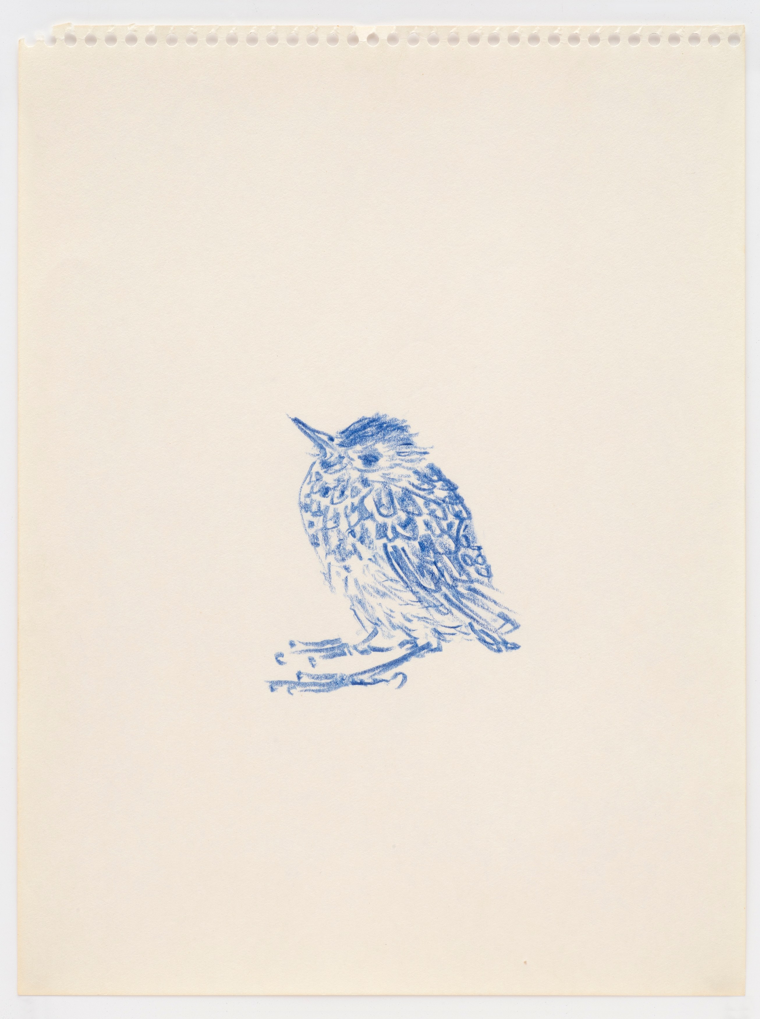 Bill Lynch, I am a Bird from Heaven's Garden at The Approach, photo 31