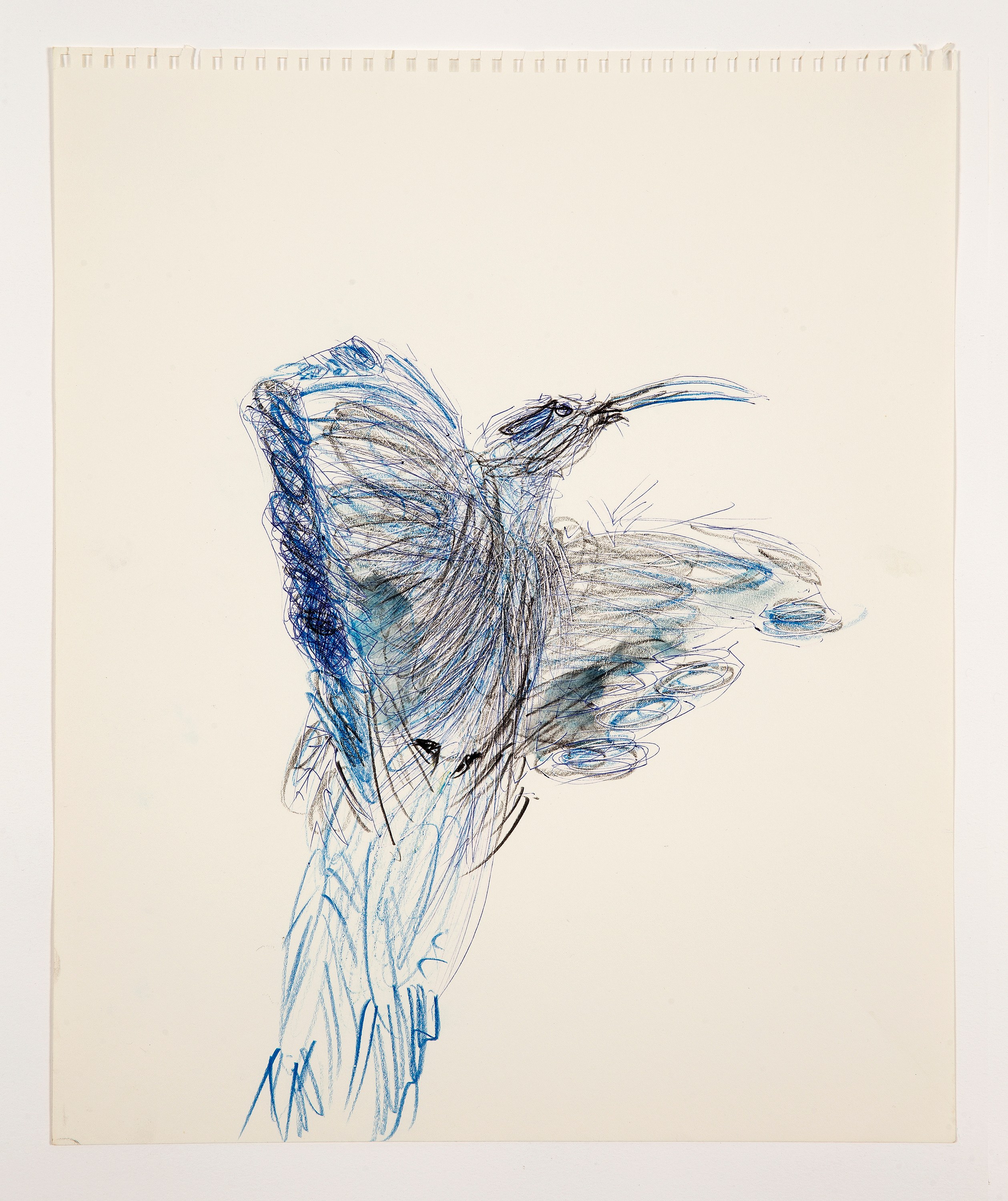Bill Lynch, I am a Bird from Heaven's Garden at The Approach, photo 34