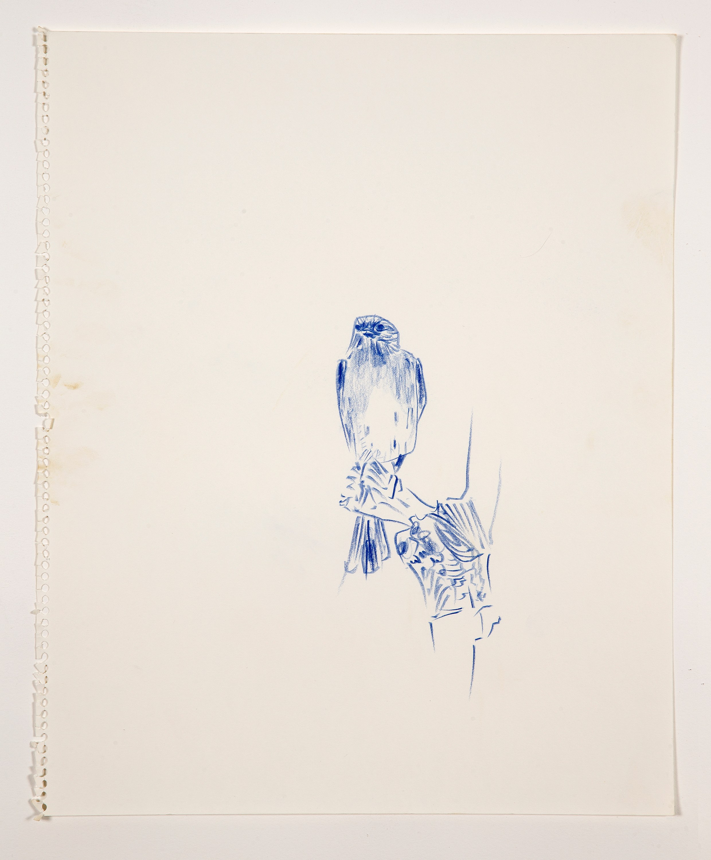 Bill Lynch, I am a Bird from Heaven's Garden at The Approach, photo 35