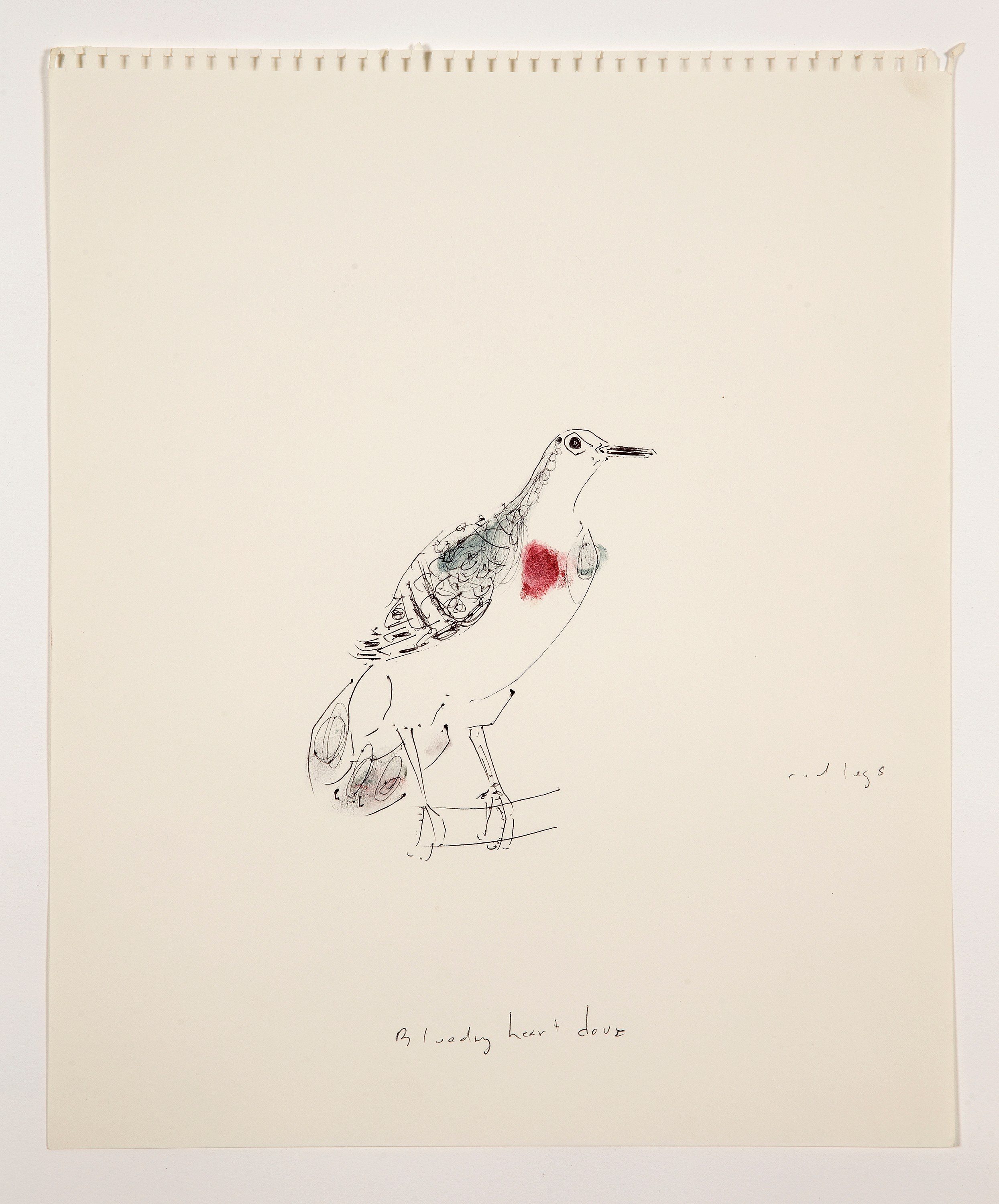 Bill Lynch, I am a Bird from Heaven's Garden at The Approach, photo 37