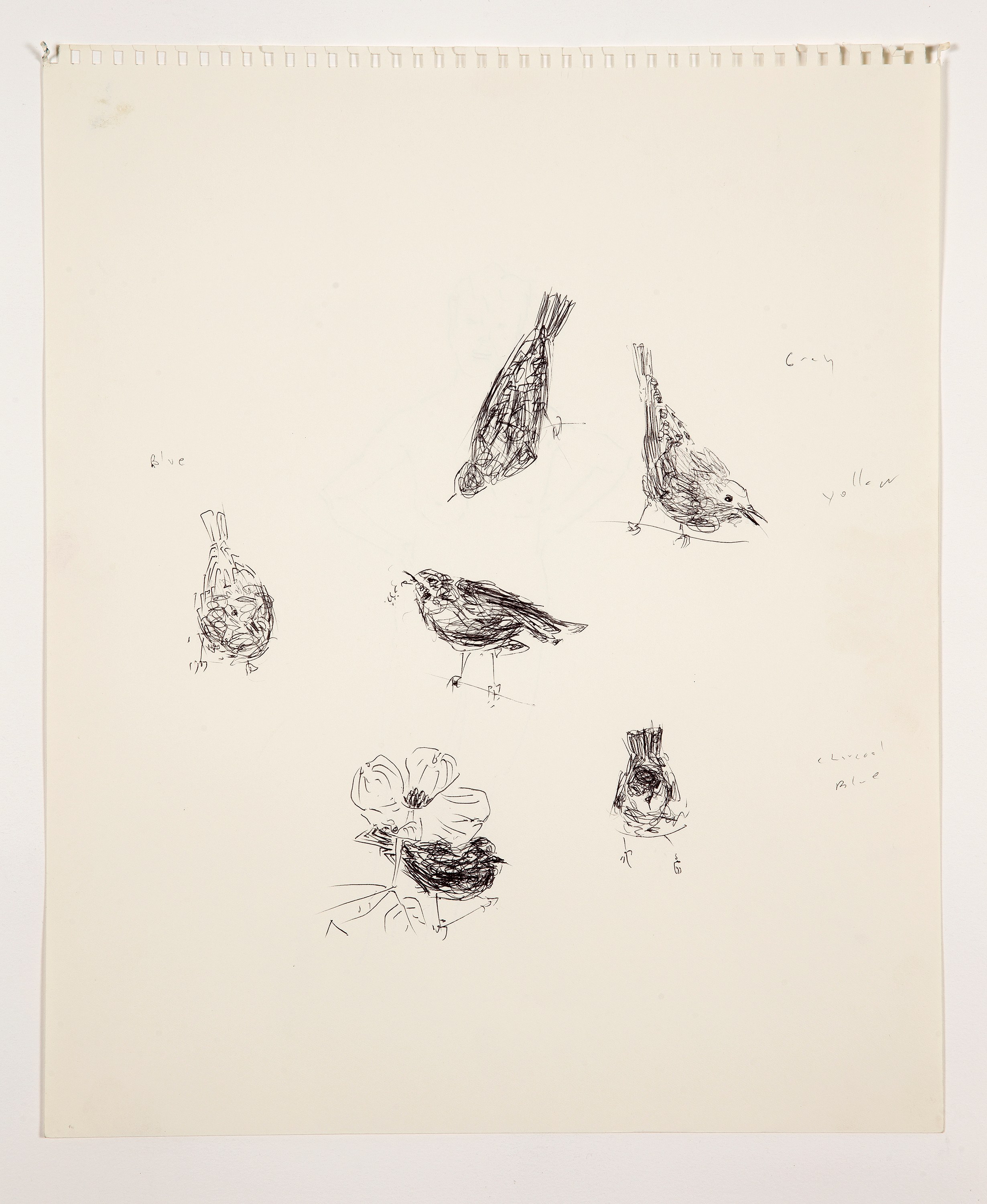 Bill Lynch, I am a Bird from Heaven's Garden at The Approach, photo 38