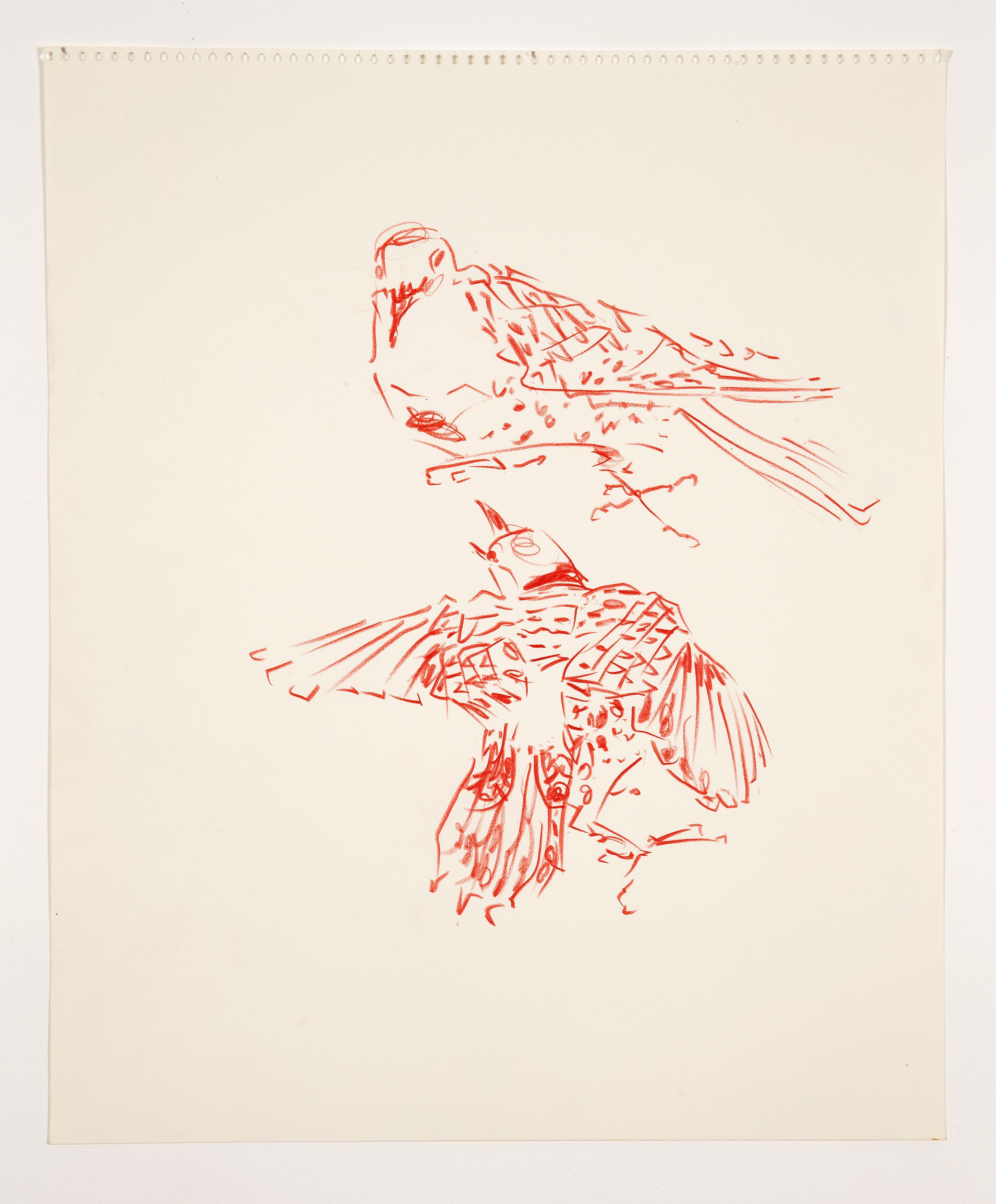 Bill Lynch, I am a Bird from Heaven's Garden at The Approach, photo 36