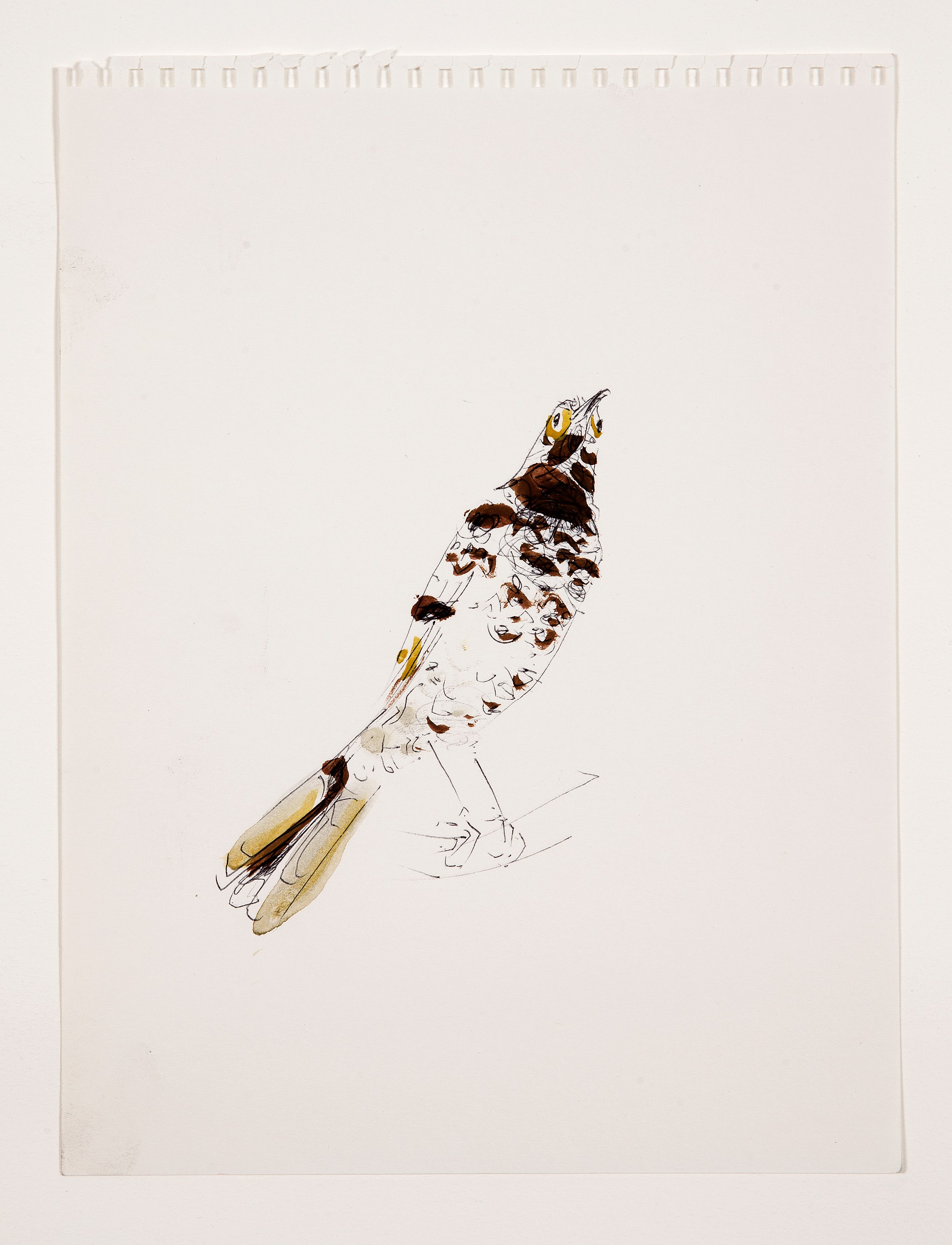 Bill Lynch, I am a Bird from Heaven's Garden at The Approach, photo 40