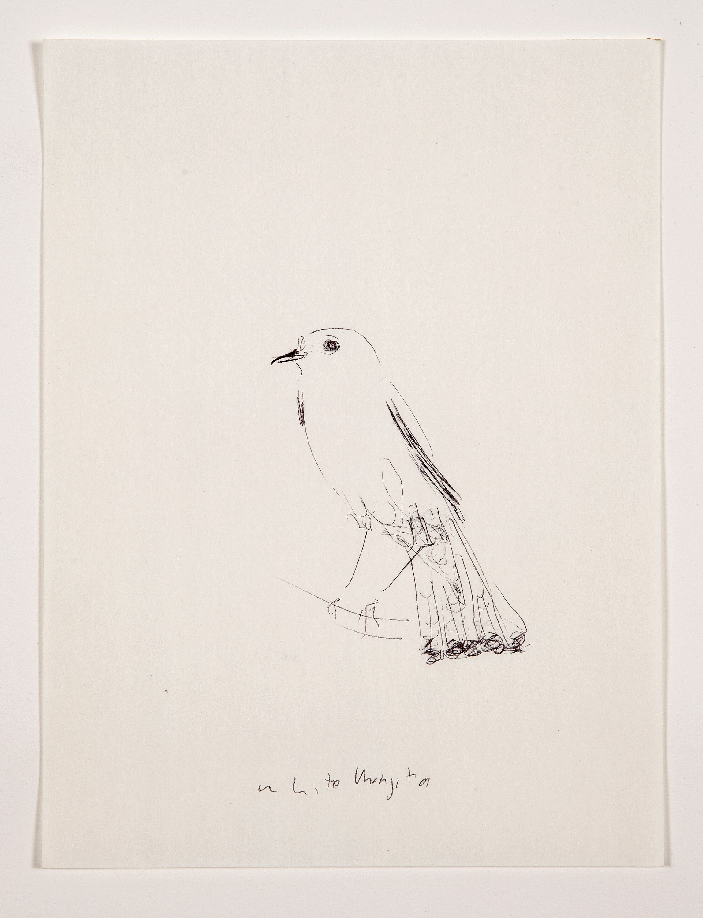 Bill Lynch, I am a Bird from Heaven's Garden at The Approach, photo 41