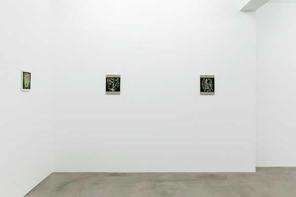 Image 4 of 22