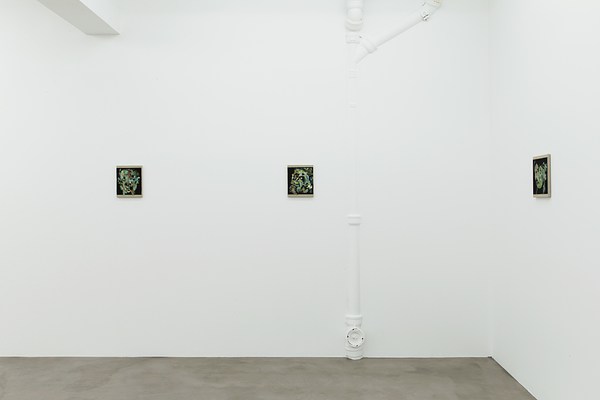 Image 5 of 22