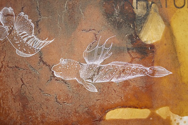 Image 10 of 13