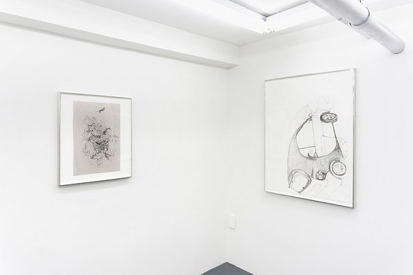 Image 19 of 30
