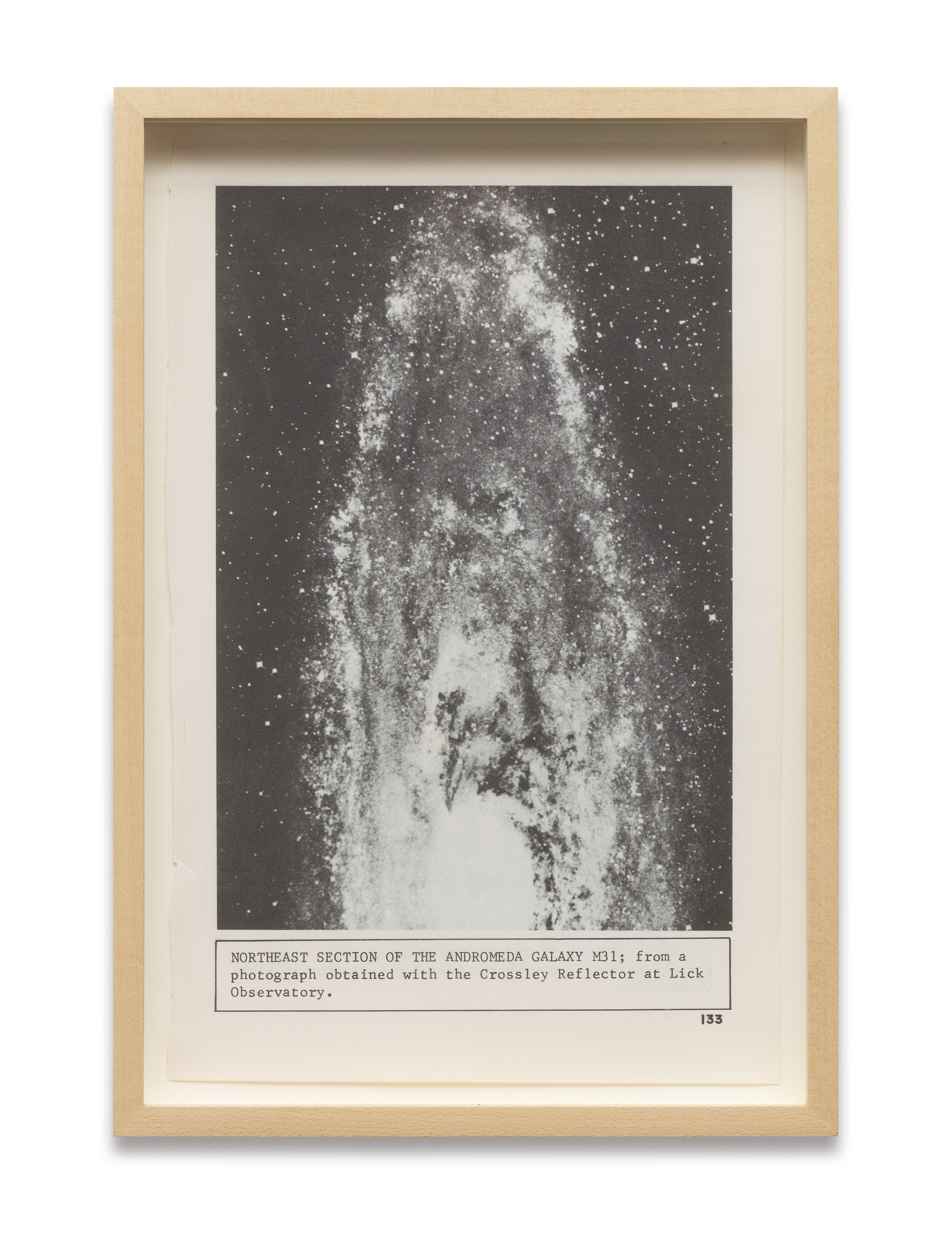 Stars Down to Earth, Stars Down to Earth at Trautwein Herleth, photo 23