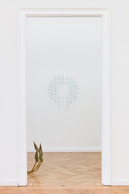 Image 11 of 36