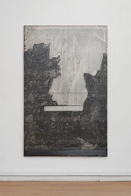 Image 12 of 16