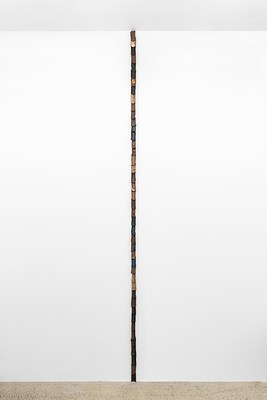 Image 2 of 17