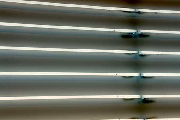 Image 11 of 13