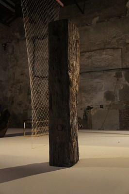 Image 12 of 29