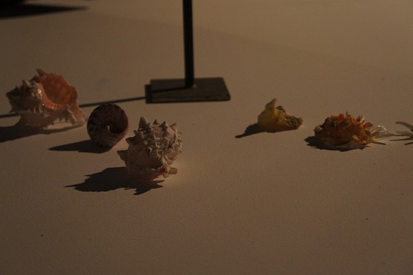 Image 15 of 29