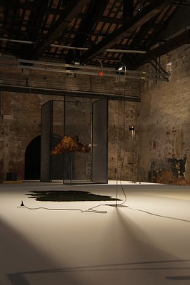 Image 16 of 29