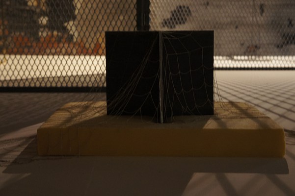 Image 27 of 29