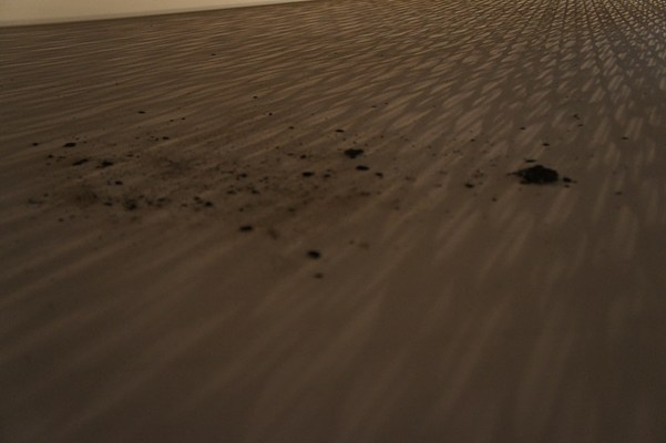 Image 28 of 29