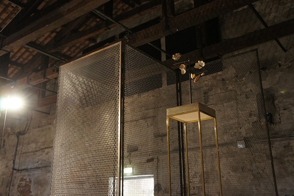 Image 4 of 29
