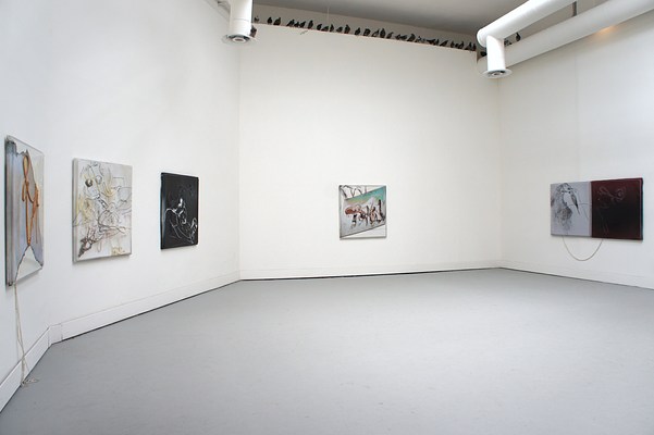 Image 3 of 41