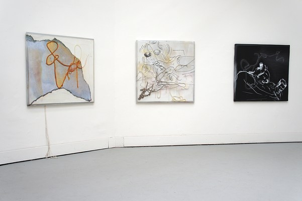 Image 4 of 41