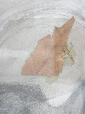Image 26 of 26