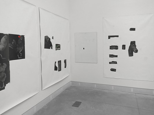 Image 1 of 26