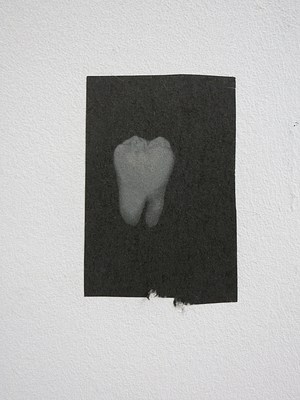 Image 13 of 26