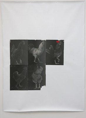 Image 22 of 26