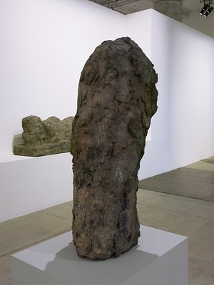 Image 19 of 42