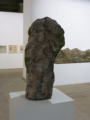 Image 20 of 42