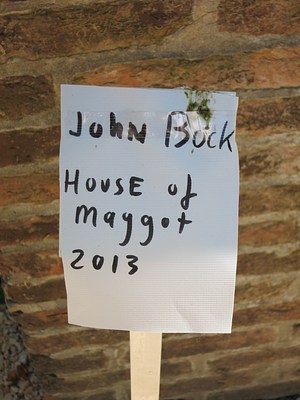 Image 2 of 17