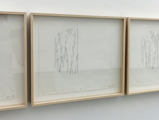 Image 10 of 25