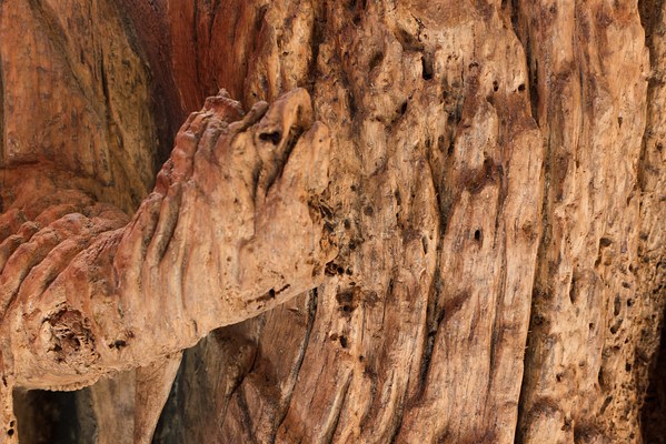 Image 11 of 45