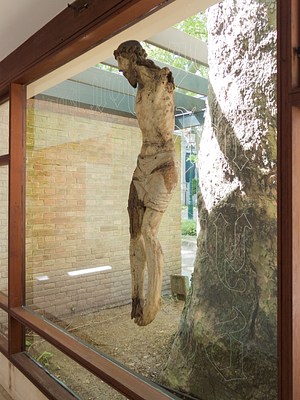 Image 17 of 45
