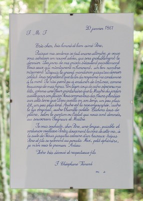 Image 22 of 45