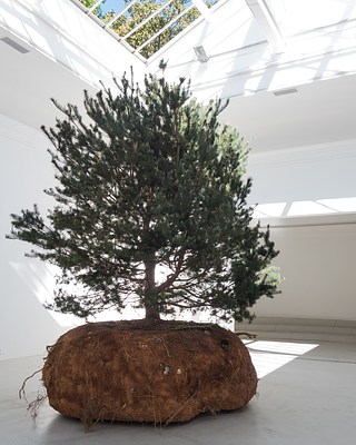 Image 10 of 21
