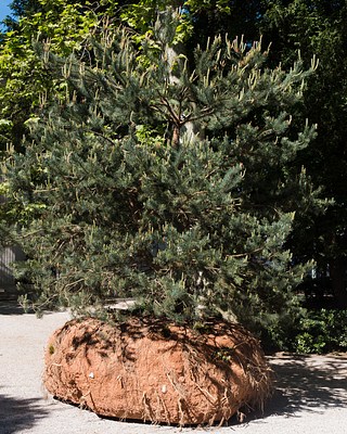 Image 16 of 21