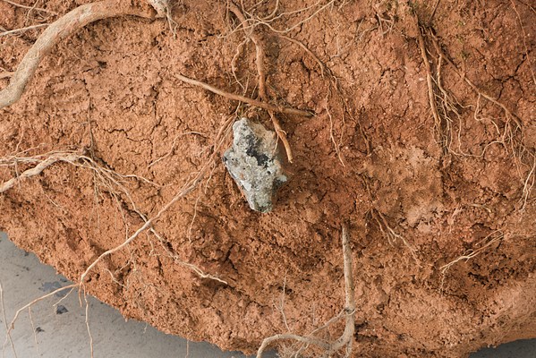 Image 17 of 21
