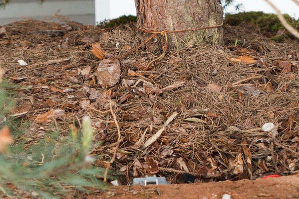 Image 19 of 21