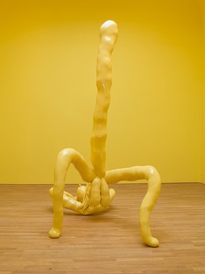 Image 4 of 50