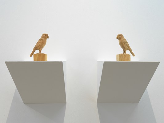 Image 5 of 10