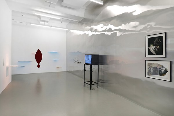 Image 7 of 14