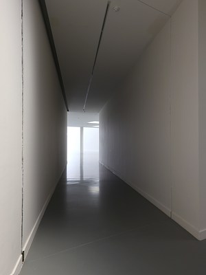 Image 5 of 31